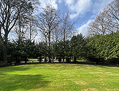 Grundstück in Blankenese image